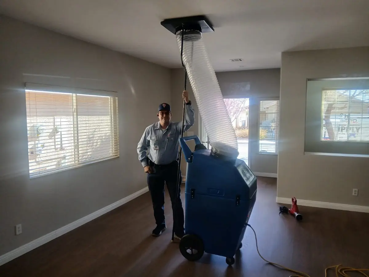 Professional Dryer Vent Cleaning work inside a Argentine home